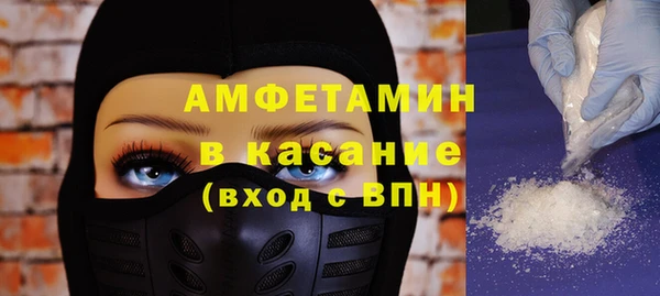 прущие грибы Балахна