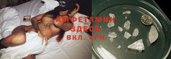 прущие грибы Балахна