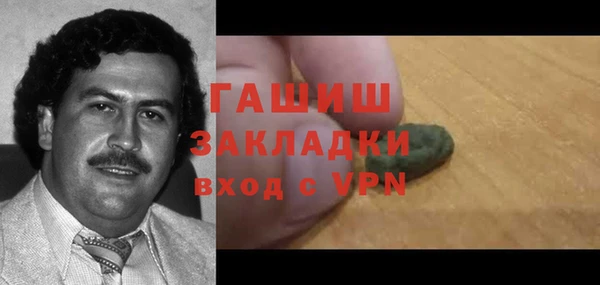 прущие грибы Балахна