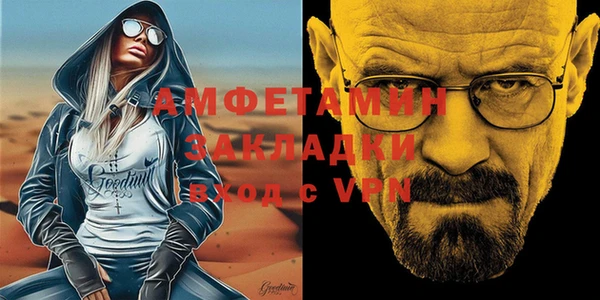прущие грибы Балахна
