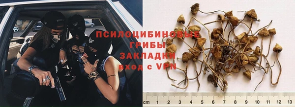 мескалин Баксан