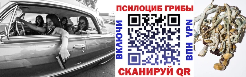Галлюциногенные грибы мухоморы  закладки  Давлеканово 